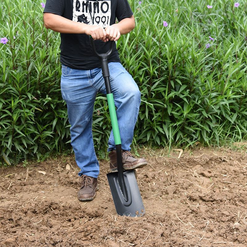 Sharp shovel for gardening digging function