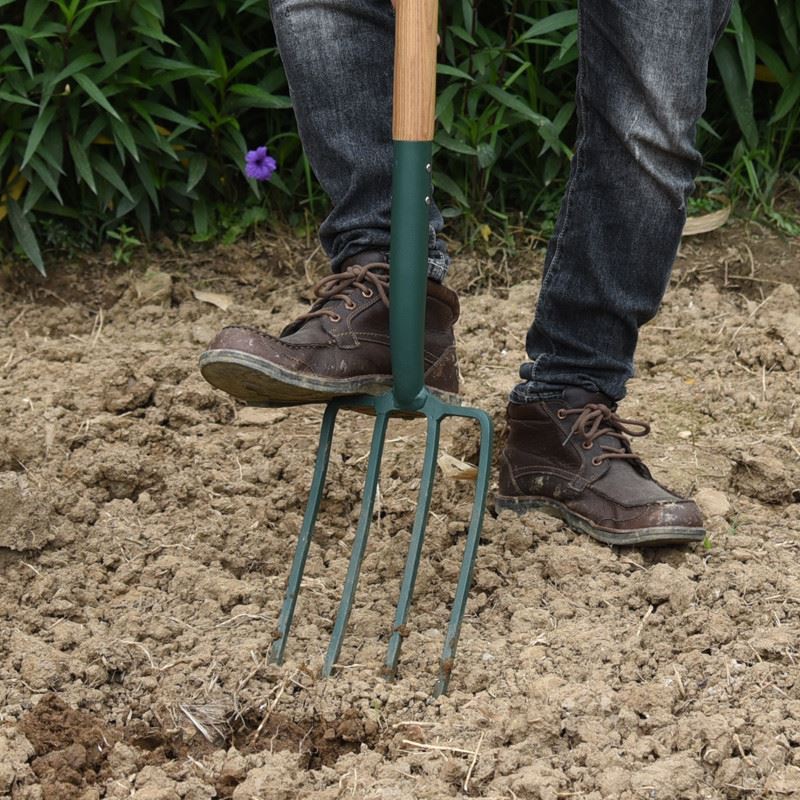 carbon steel 4 tine fork