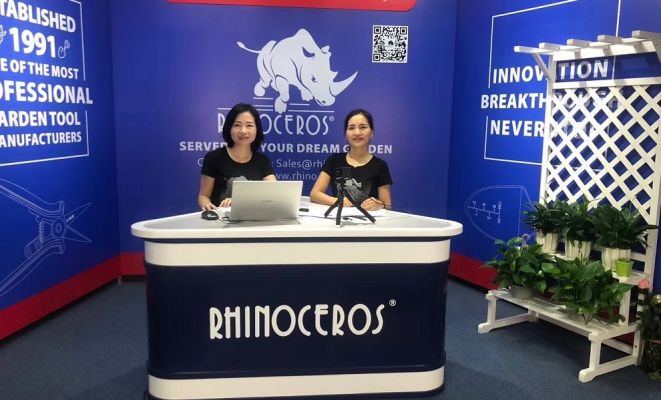 online live streaming