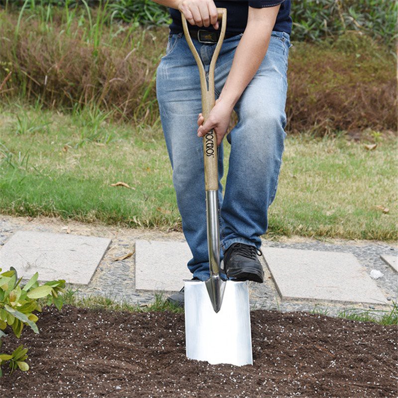 digging forks and spade
