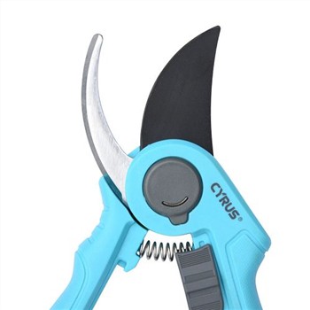 サイが一般的に使用するいくつかのロゴ パターン