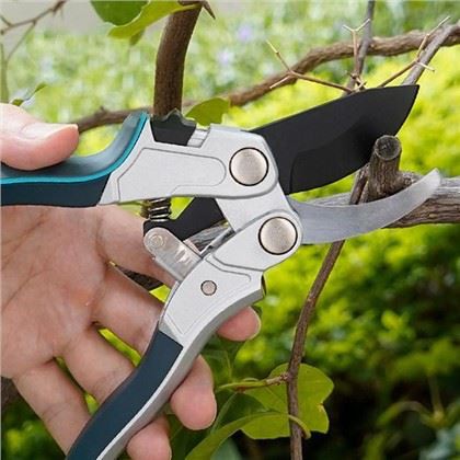 リンゴの木に最適な剪定ばさみの選び方: 庭師ガイド