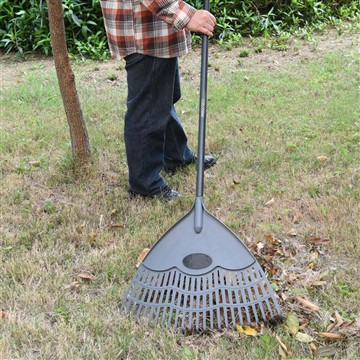 冬のビンカの手入れ方法は？