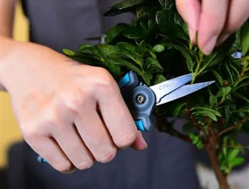 新しい大型のはさみを発売した理由