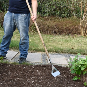 菜園を始めるメリット