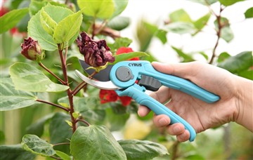 パワーとハンドカットツールの長所