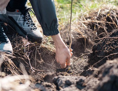 根を掘り下げる遊び心のあるステップ