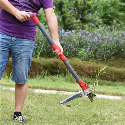楽な除草のために除草剤を立ててください