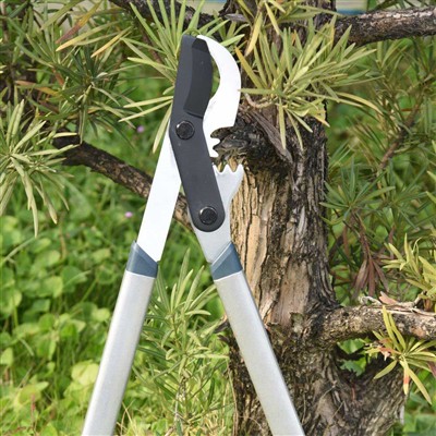 枝の剪定に最適なツールはバイパスロッパーです