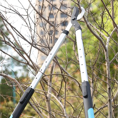 忙しい人のためのガーデニング: 限られた時間で庭の手入れをするためのヒント