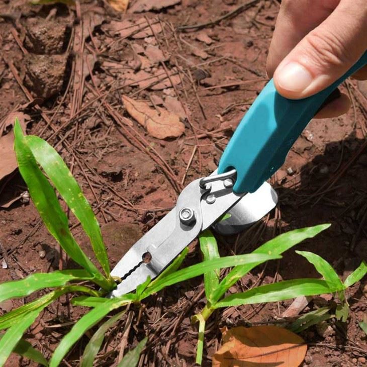 Stainless Hand Weeder