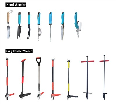 緑を育てる: 庭に持続可能性を取り入れる