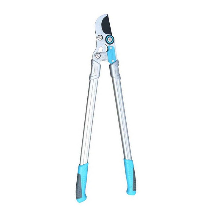 剪定せん断を失う